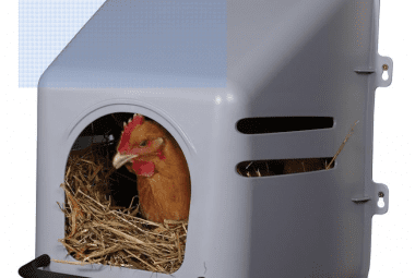 A chicken peeks out from a modern gray plastic nesting box filled with straw.