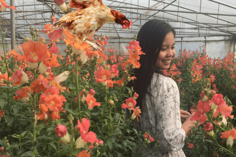 A woman smiling in a greenhouse filled with orange flowers, with a chicken flying overhead.