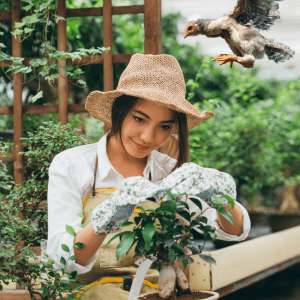  Woman gardening with a chicken flying overhead in a garden.