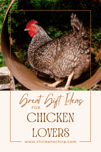 Great Gift Ideas for chicken lovers