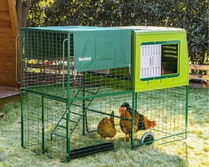 Large movable chicken coop with runs ideal for broody hens and chicks