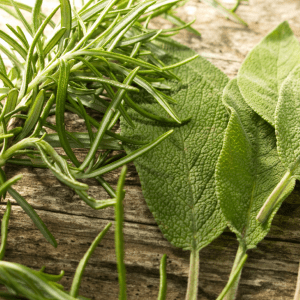 "Fresh sprigs of rosemary and sage leaves on a rustic wooden surface.