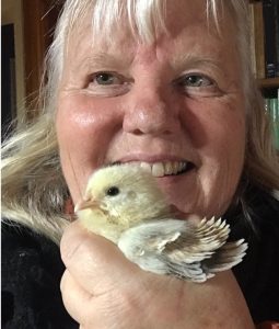 Renate CHristie Holding a frizzle chick.