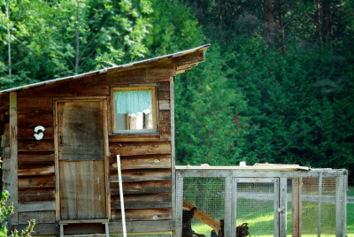 Is Underground Wire Mesh The Answer To Tunneling Predators? Picture of a wooden coop and run - home made - we can't see the underground mesh.