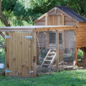 A wooden chicken coop with a wire mesh enclosure in a grassy area