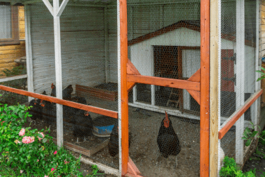 A spacious chicken coop with a mesh enclosure and wooden frame, featuring a red roof and integrated into a garden with pink flowers