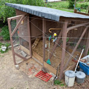 Homemade wooden chicken coop with wire mesh enclosure and asphalt-shingle roof, surrounded by garden tools and feed containers.