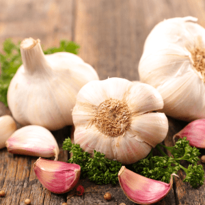 "Whole and clove garlic bulbs arranged on a rustic wooden table, surrounded by fresh parsley and peppercorns."