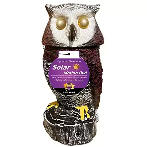 Owlsome Red Solar Owl with Flashing Eyes, Rotating Head, Hoot Sound, Motion Detector and Silent Mode