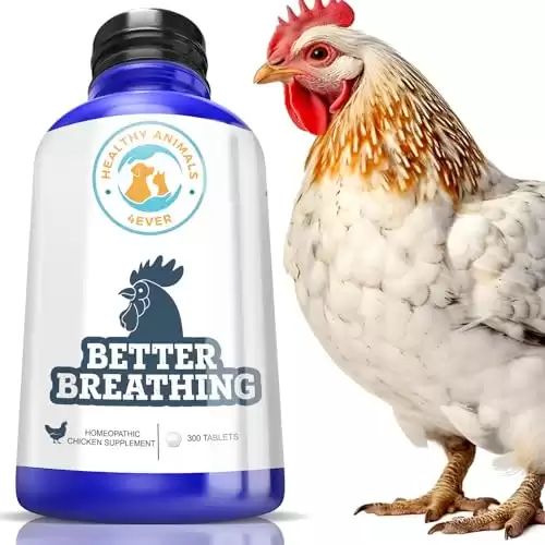 HealthyAnimals4Ever All-Natural Chicken Respiratory Support Supplement - Effective Homeopathic Breathing Aid for Chickens - 300 Chicken Respiratory Support Tablets