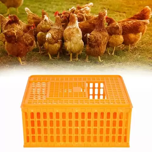 lukar Poultry Carrier Crate Plastic Chicken Transport Crate.ult Chicken Duck Goose Birds, 29.5 x 21.7 x 13 Inch