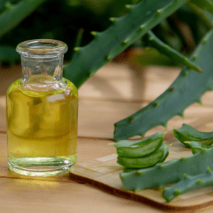 A bottle of aloe vera oil with fresh aloe vera leaves in the background, beneficial for chickens' health.