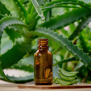 A dropper bottle with aloe vera extract in front of fresh aloe vera plants.
