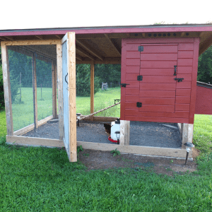 Article: Trimmed Bushes Help Deter Predators. Pic - A red and natural wood chicken coop with an open run, situated on a lush green lawn, no bushes in immediate vicinity.