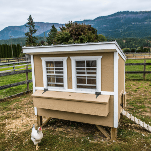 Article: Trimmed Bushes Help Deter Predators. Pic - A stylish beige chicken coop with white windows, elevated on a platform in a fenced area with a mountainous backdrop.