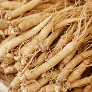 A close-up view of a pile of ginseng roots.