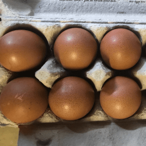 Six dark brown Maran chicken eggs neatly arranged in a cardboard egg carton.Caption: The Rich Palette of Nature: Dark brown Maran eggs, celebrated for their deep, chocolate hues. Description: