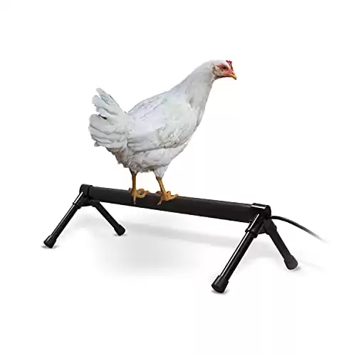 K&H Pet Products Thermo-Chicken Perch Warming Chicken Heater for Chicken Coops, Prevents Frozen Chicken Toes, Chicken Coop Accessories, Safe Alternative to Chicken Coop Heater - Black 36