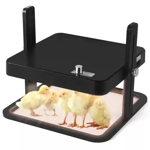 Ziopetru Chicken Brooder Heater, Chick Warmer with Adjustable Temperature, 10" x 10" Brooder Heater Plate.