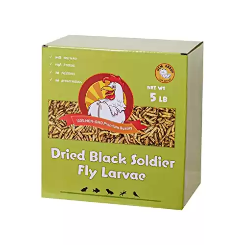 UCM Group 5LB Dried Black Soldier Fly Larvae for Chickens, Birds and Small Pet