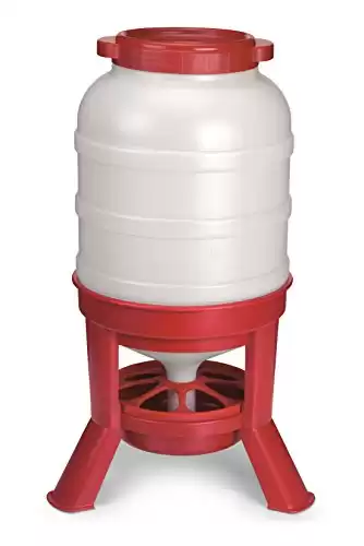 Little Giant Plastic Dome Feeder | Heavy Duty Plastic Gravity Fed Poultry Feed Container Tank | Backyard Poultry for Hobbyists, Farmers and Ranchers | 60 LB