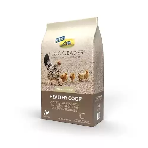 FlockLeader Healthy Coop, Litter Additive for Chicken Coop with Probiotic & Acidifier, Reduces Odor, Wetness & Bacteria, 12lbs