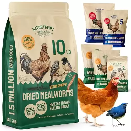 Hatortempt Bulk Dried Mealworms 10 lbs Premium Organic Non-GMO Dried Mealworms for Chickens High Protein Chicken Feed Meal Worms for Wild Birds & Chicken Treats for Laying Hens