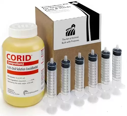 CORID Amprolium 9.6% Oral Solution Drinking Water Kit Pint (473 mL) w/ Six Veterinary Oral Syringes (10 mL, Two Teaspoons) Multi Animal Water-Soluble Oral Solution in Groups, Pens & Herds