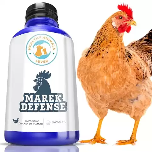 Healthy Animals 4Ever All-Natural Chicken Immunity Support for Marek s Disease - Natural Prevention for Marek s Disease - Homeopathic & Highly Effective - 300 Chicken Immunity Strengthening Tablet...