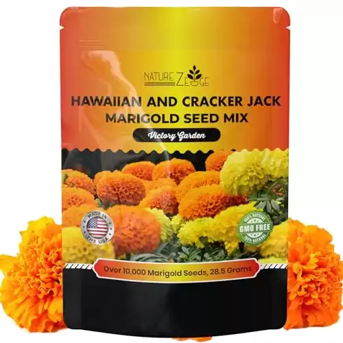 NatureZ Edge, Marigold Seeds, Marigold Seeds for Planting Outdoors, 1 Ounce 10,000 Seeds, Hawaiian and Cracker Jack Marigold Seeds, Marigolds Seeds, African Marigold Seeds, Giant Marigolds Seeds Bulk