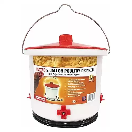 Farm Innovators HB-60P Thermostatically Controlled Heated 2 Gallon Plastic Outdoor Year Round Poultry Chicken Water Bucket Drinker, White/Red