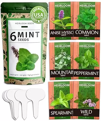 (6 Variety) Mint Seeds for Planting Outdoors or Indoors Peppermint, Spearmint, Mountain Mint, Wild Mint, Anise Hyssop, & Common Mint | Non-GMO, Heirloom Herb Seed,Grow Your Own Mint Plant